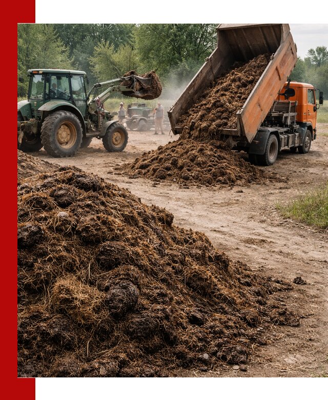 Доставка навоза самосвалами в Биробиджане для сельхозпотребностей